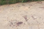 武漢發生槍擊事件3人受傷