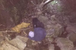 青田一對夫妻上山采草藥墜崖身亡