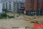 臺風尼伯特帶來暴雨 永泰縣暴雨內澇街道成河道