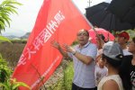 揭秘“海上森林”護航海島生態 溫州醫科大學暑期社