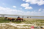 內(nèi)蒙古多地最高溫度超過40℃