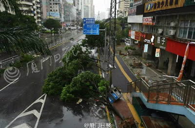 臺風莫蘭蒂襲擊廈門 福建全省受大風暴雨影響