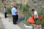 摘馬蜂窩遭襲擊送命