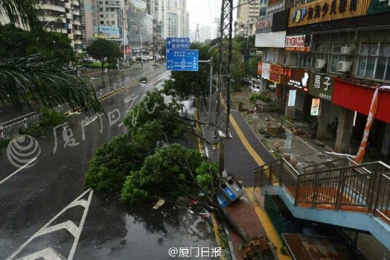 臺(tái)風(fēng)莫蘭蒂襲擊廈門