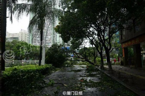 臺(tái)風(fēng)莫蘭蒂襲擊廈門