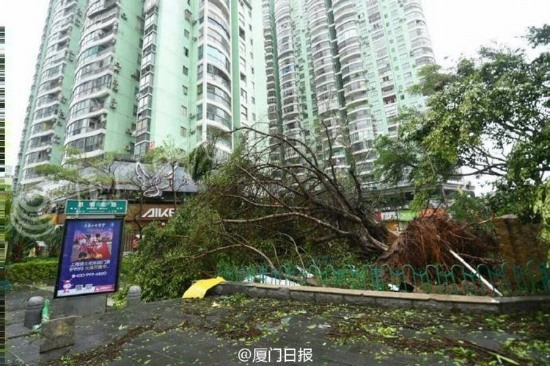 臺(tái)風(fēng)莫蘭蒂襲擊廈門
