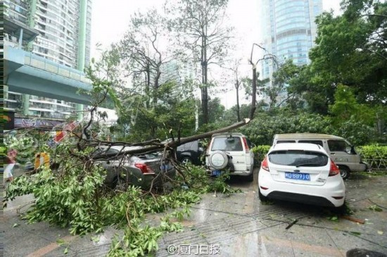 臺(tái)風(fēng)莫蘭蒂襲擊廈門