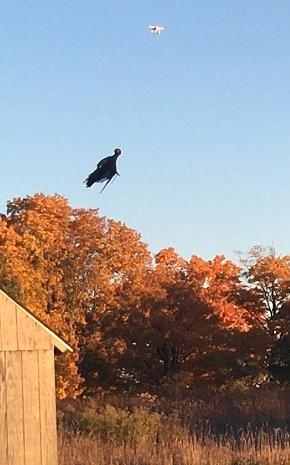 小鎮驚現攝魂怪