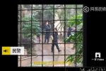 亞洲熊出逃48小時未找到 現(xiàn)實版熊出沒