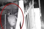 內(nèi)褲套頭搶前女友被警方識(shí)破
