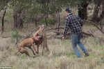 愛犬遭袋鼠鎖喉 主人拳擊救狗