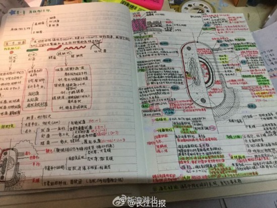 美女繪本筆記走紅