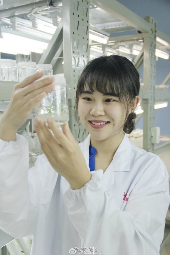 美女繪本筆記走紅