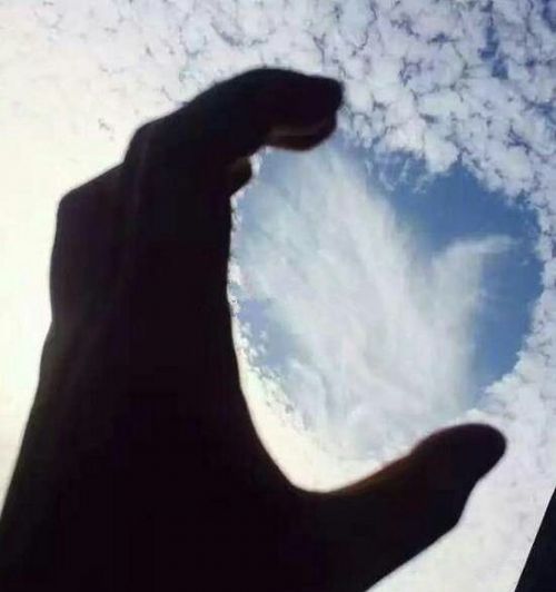 愛(ài)心云虐網(wǎng)友一臉