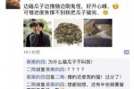 曬幸福遭室友整蠱 一個(gè)很無(wú)聊的室友