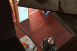 天花板掉下一男子 南京業主私拆小閣樓闖禍