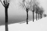 河南濃霧暴雪 春運受影響