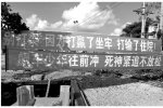海南勸架標語走紅 打贏坐牢 打輸住院