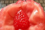 西紅柿里吃出草莓 好神奇