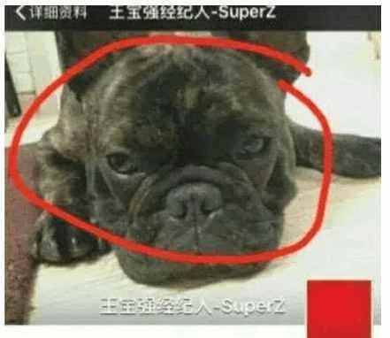 馬蓉公開示愛宋喆