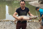 小區(qū)撈出頂級毒魚鱷雀鱔