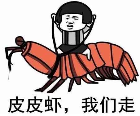 上半年最火流行語(yǔ)