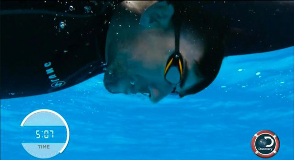 飛魚對戰(zhàn)大白鯊