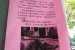 男子用房子尋貓 網(wǎng)友紛紛表示辭職尋貓去