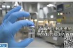 美試驗起死回生 腦死亡復活惹爭議