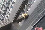 小區(qū)驚現(xiàn)黃金蟒蛇