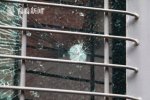 女警鬧市區遭狙擊 未被打中