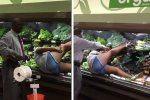 超市女子泡蔬菜浴 倒在蔬菜堆里滾
