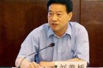 湖北政協(xié)副主席劉善橋被雙開
