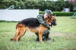 張馨予訓狗慘被咬《奇兵神犬》