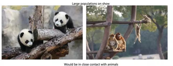 動(dòng)物園現(xiàn)奇葩翻譯