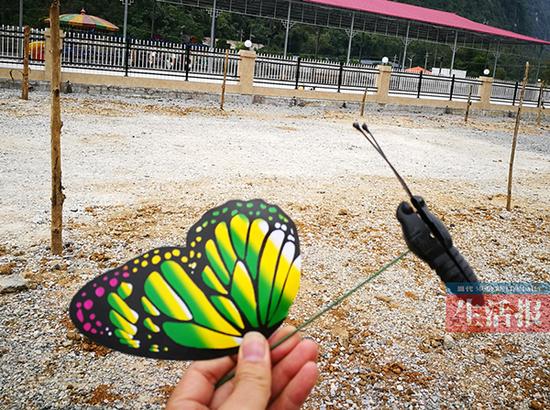 動(dòng)物園展塑料蝴蝶
