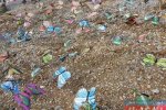 動物園展塑料蝴蝶 馬山小都百景區