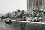 安徽暴雪致13人死亡 2018年安徽暴雪經(jīng)濟(jì)損失12.6億元