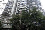 重慶24層高樓沒電梯成網紅