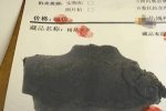 撿到寶貝估值上億 太歲是假的