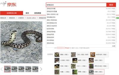 被咬女孩腦死亡