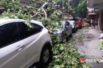 福州臺風(fēng)瑪莉亞來襲 大風(fēng)和暴雨經(jīng)過城市一片狼藉