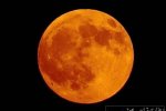 本世紀最長月全食 7月28日凌晨
