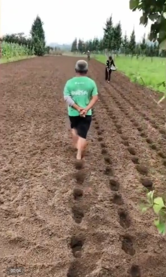 大爺種地走貓步