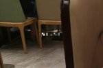 網友偶遇高圓圓在餐廳