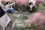 成都網紅粉黛遭殃 都被踩壞了
