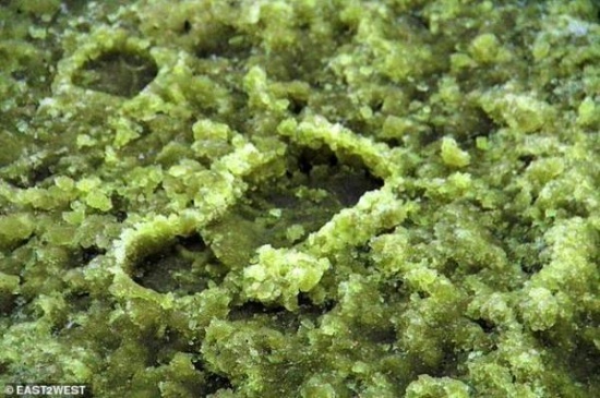 俄羅斯下起綠色雪