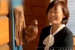 安倍帶回一個萌物