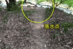 黃果樹景區游客遇難 落水遇難