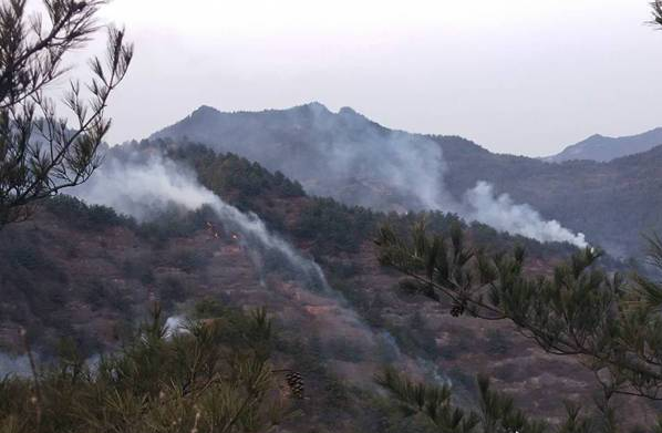 甘肅突發森林火災